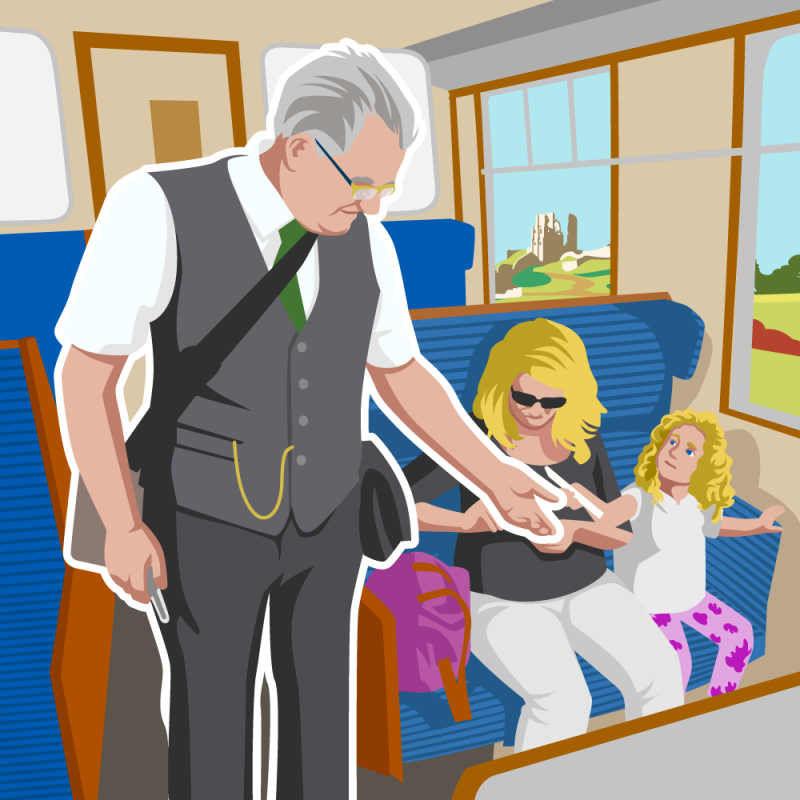 The Ticket Inspector Experience