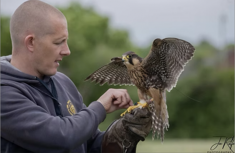 Liberty's Owl, Raptor and Reptile Centre